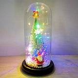 Božićna jelka u staklenom zvonu