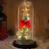 Božićna jelka u staklenom zvonu