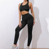 Fitnes komplet HELANKE i TOP za trening (10)