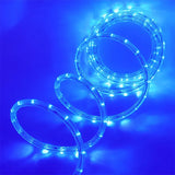 Sijalice u crevu 20m – PLAVA