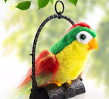 Dečja zabavna igračka-Papagaj