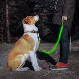 Povodac za pse sa Led svetlom