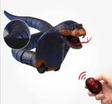 Kobra Naja na daljinsko upravljanje