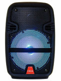 Prenosivi blutut karaoke zvucnik sa mikrofonom - Prenosivi blutut karaoke zvucnik sa mikrofonom