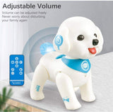 Interaktivni robot pas na daljinski