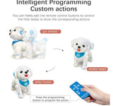 Pametni pas na daljinsko upravljanje () - Pametni pas na daljinsko upravljanje () - Ali tako