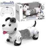 Pametni pas robot + daljinski - Pametni pas robot + daljinski