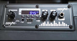 Bluetooth karaoke zvučnik - 2x8"-DS 2806 - Bluetooth karaoke zvučnik - 2x8"-DS 2806