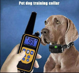 Ogrlica za dresuru pasa - ogrlica za pse - domet 800m