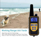 Ogrlica za dresuru pasa - ogrlica za pse - domet 800m