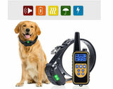 Teletakt PETCOMER Trening ogrlica za psa - signal 800m