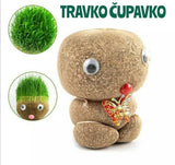 Travko čupavko