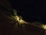 SOLARNE lampe/pakovanje 8 komada - SOLARNE lampe/pakovanje 8 komada