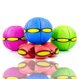 Frizbi i lopta 2u1 phlat Ball - Frizbi i lopta 2u1 phlat Ball