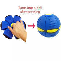 Frizbi i lopta 2u1 phlat Ball - Frizbi i lopta 2u1 phlat Ball