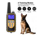 Ogrlica za dresuru pasa - Teletakt 800m - Ogrlica za dresuru pasa - Teletakt 800m