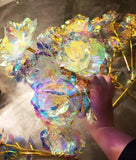 Magicna svetleca ruza - Magicna svetleca ruza