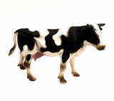 Domace zivotinje set