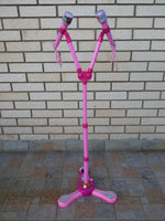 FROZEN Dual Mikrofon za male princeze