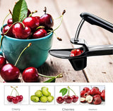 Aparat za čišćenje koštica