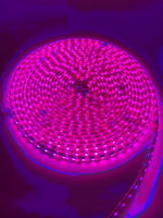 Led traka