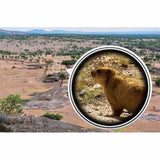 Monokularni Teleskop