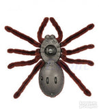 Pauk tarantula na daljinski