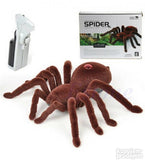 Pauk tarantula na daljinski