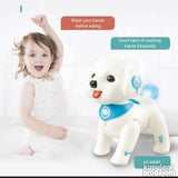 Inteligentni robo pas Teddy dostupno PROGRAMINJAE