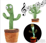 Brbljivi razigrani kaktus šašavko