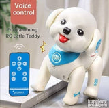 Inteligentni robot pas Teddy dostupno PROGRAMIRANJE
