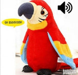 Brbljivi papagaja. CRVENI