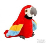 Brbljivi papagaja. CRVENI