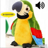 Brbljivi papagaja. ZELENI