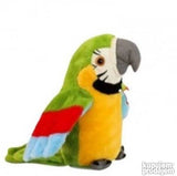 Brbljivi papagaja. ZELENI