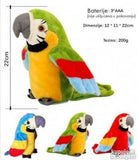 Brbljivi papagaja. ZELENI