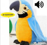 Brbljivi papagaja. PLAVI