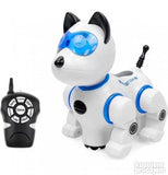 Intelignetni robot pas Max - Ali tako