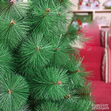 Jelka - Novogodisnja jelka - JELKA - Jelka bor