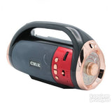 Zvusnik Bluetooth radio prenosivi / CMIK 123