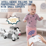 Inteligentni robo pas jazavičar