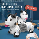 Inteligentni robo pas jazavičar