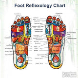 KINOKI GOLD flasteri detoksikaciju-biljni ekstrati