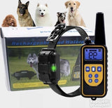 Ogrlica za dresuru pasa