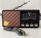 EP solarni radio model FP-256BT-S