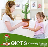 Razigrani muzicki kaktus-ponavlja reci