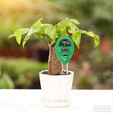 Merač PH vrednosti vlage i svetlosti