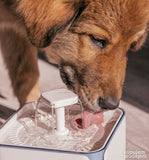 Elektricna fontana za kucne ljubimce