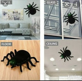 Tarantula na Daljinsko upravljanje