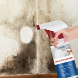 Magično sredstvo protiv buđi, fleka i vlage